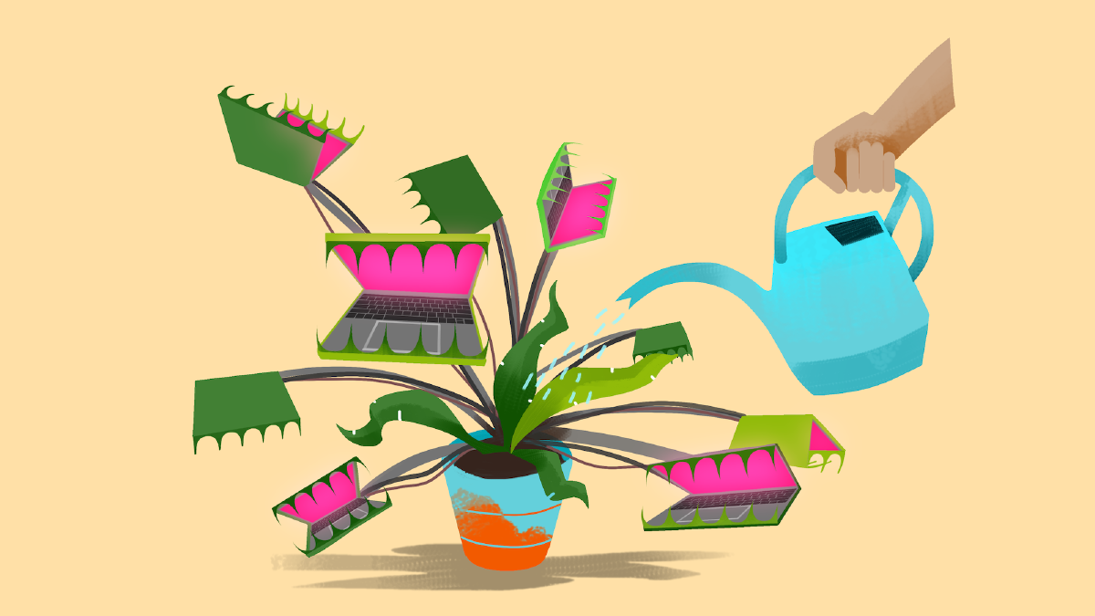 an illustration of a benu flytrap pot plant, except the fly traps are laptops, with a person watering it