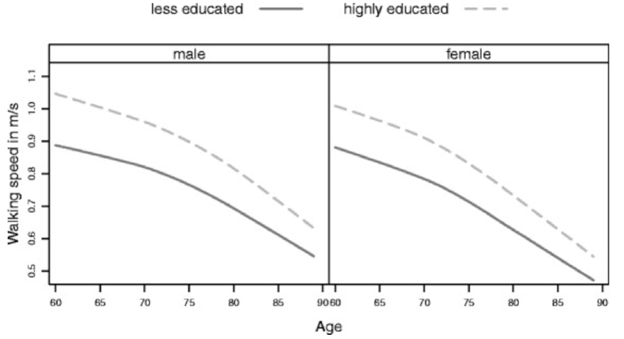 Differences in walking speed based on education and age