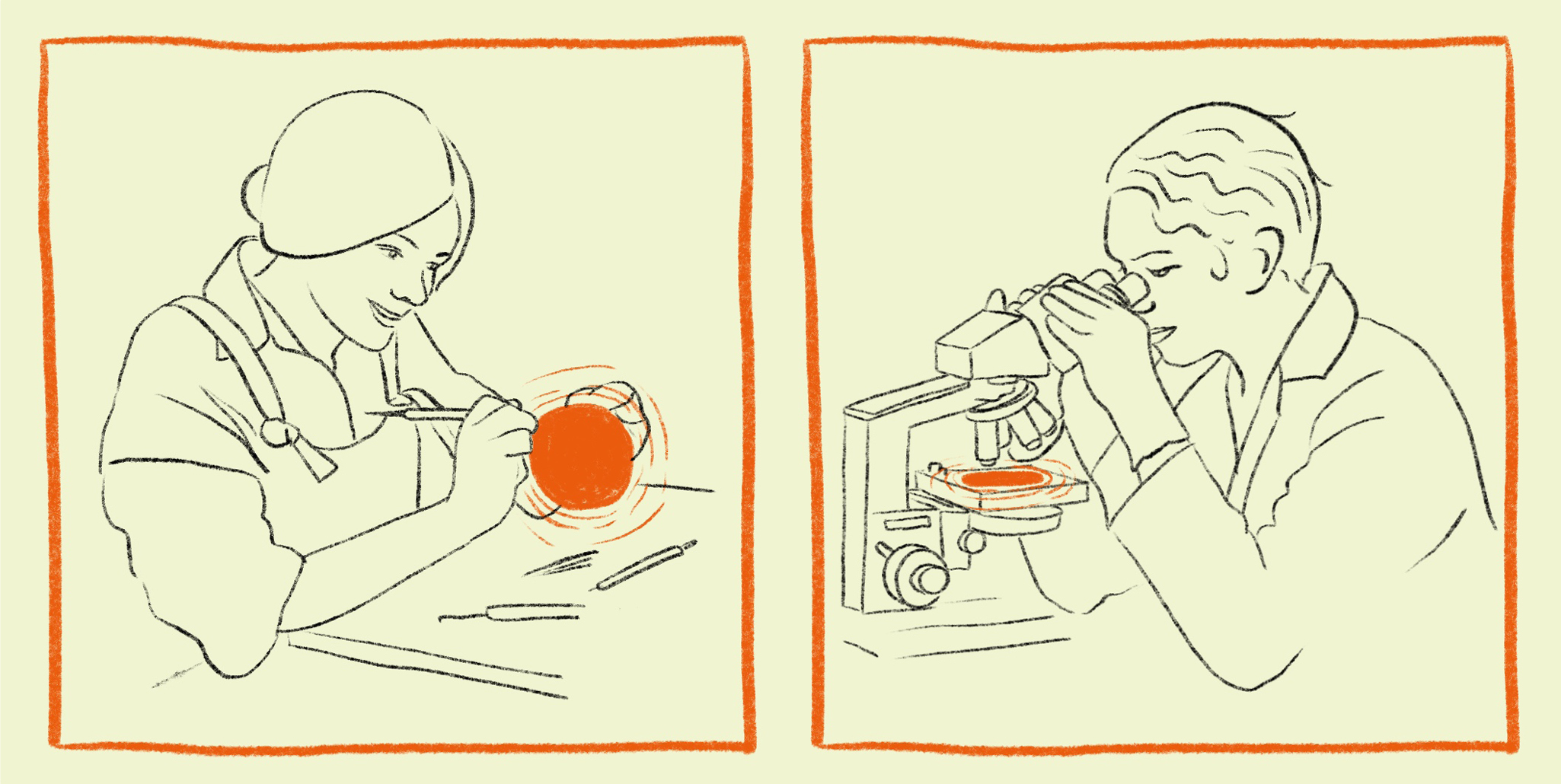 Two pencil drawings, one of a craftsperson sat at a bench holding a tool and crafting an orange orb, one of a scientist looking through a microscope at an orange orb