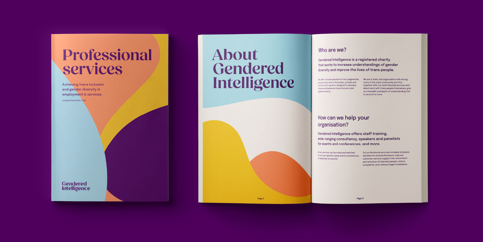 Examples of a brochure design in the new branding