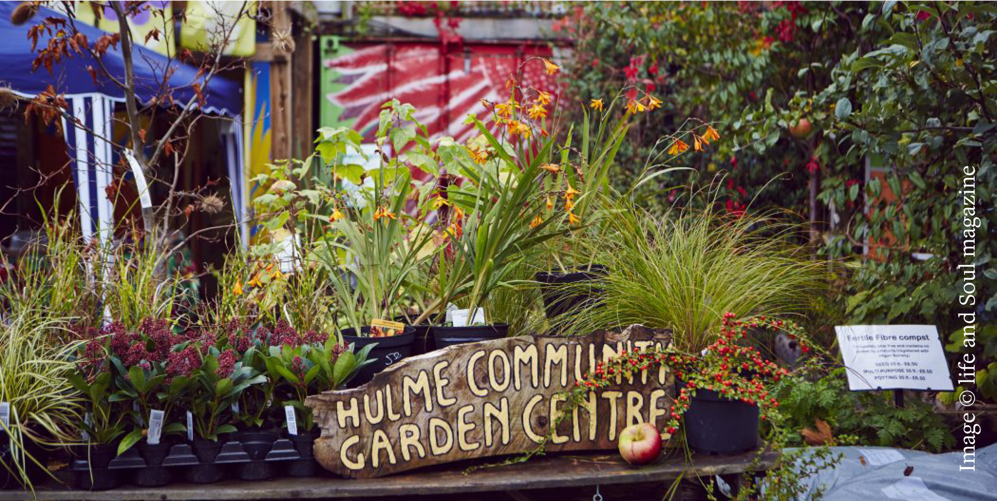 A photograph of a plant display in Hulme Garden Centre with a hand painted board with the centre's name on it