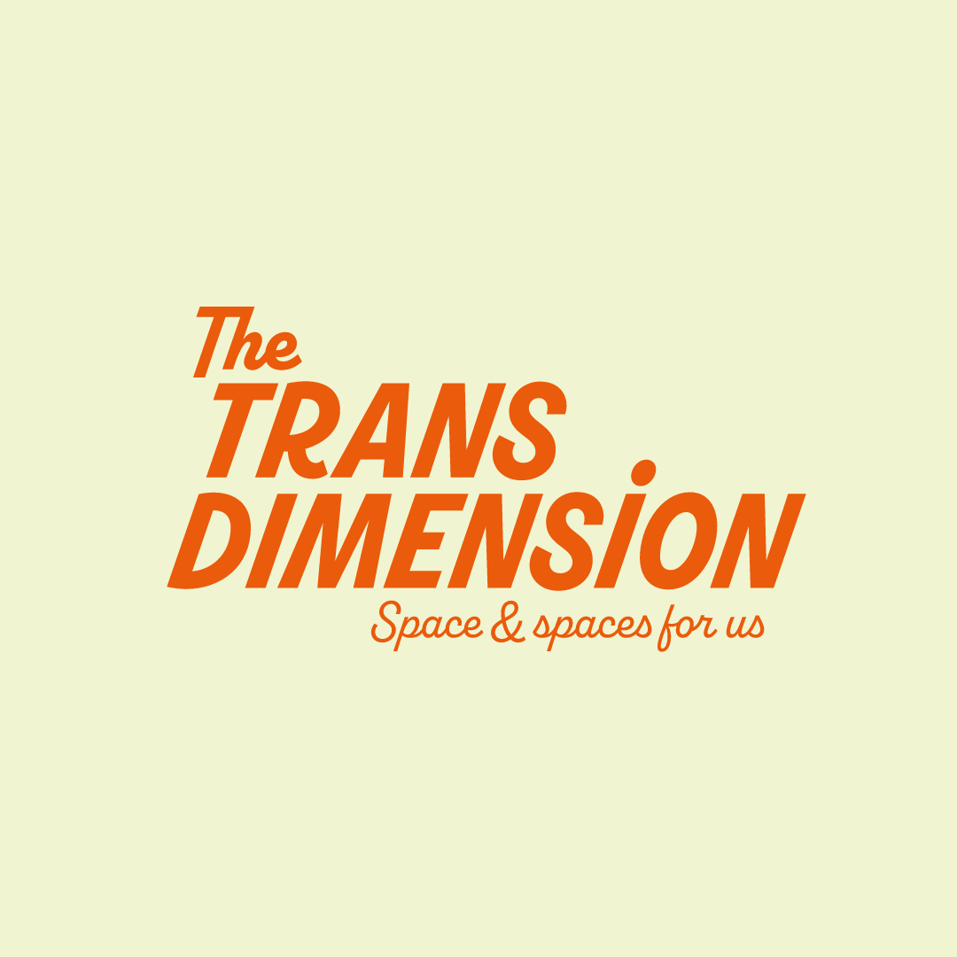 The Trans Dimension logo