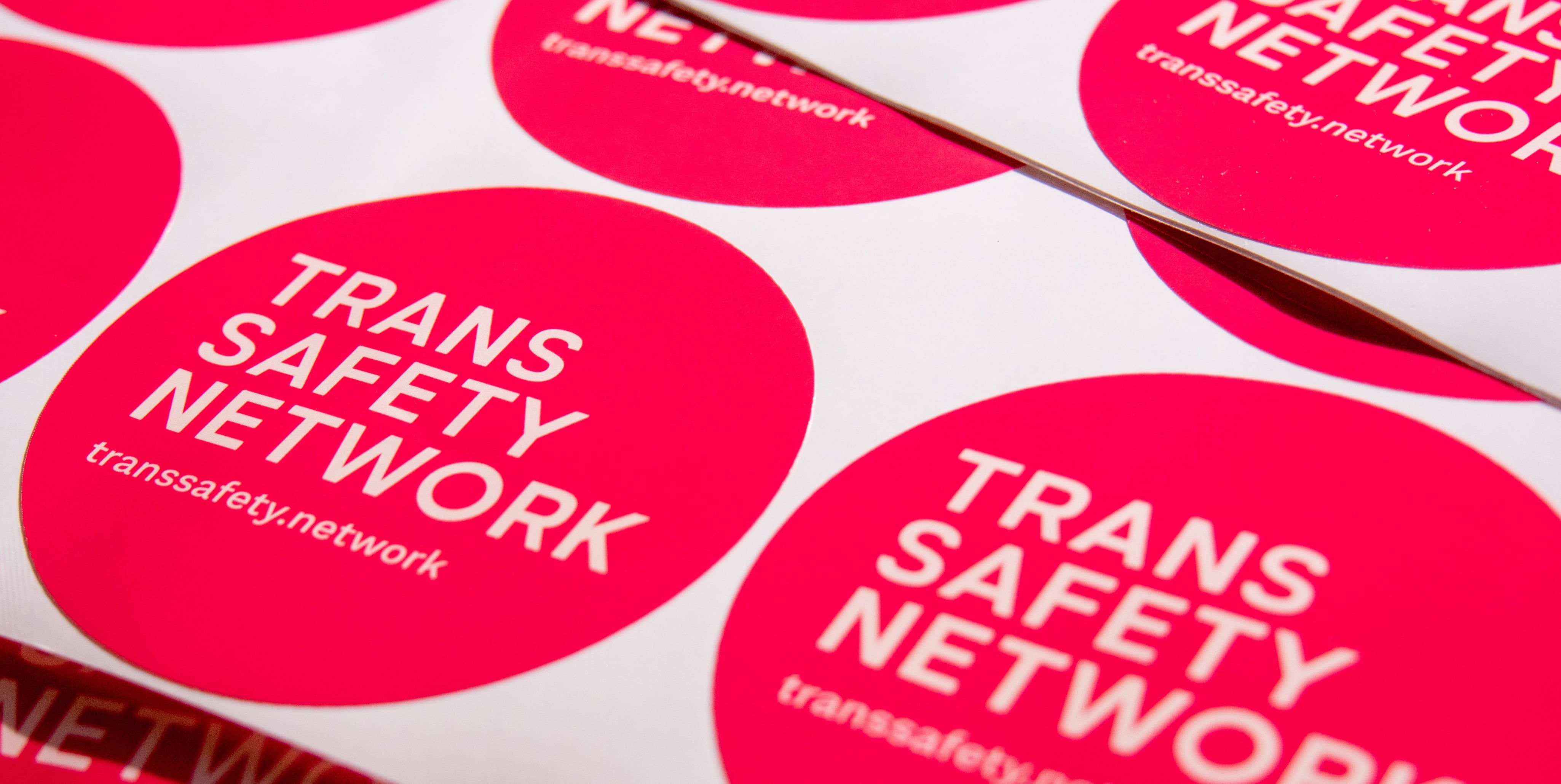 A close up photo of the Trans Safety Network logo in white text on round, pink, stickers
